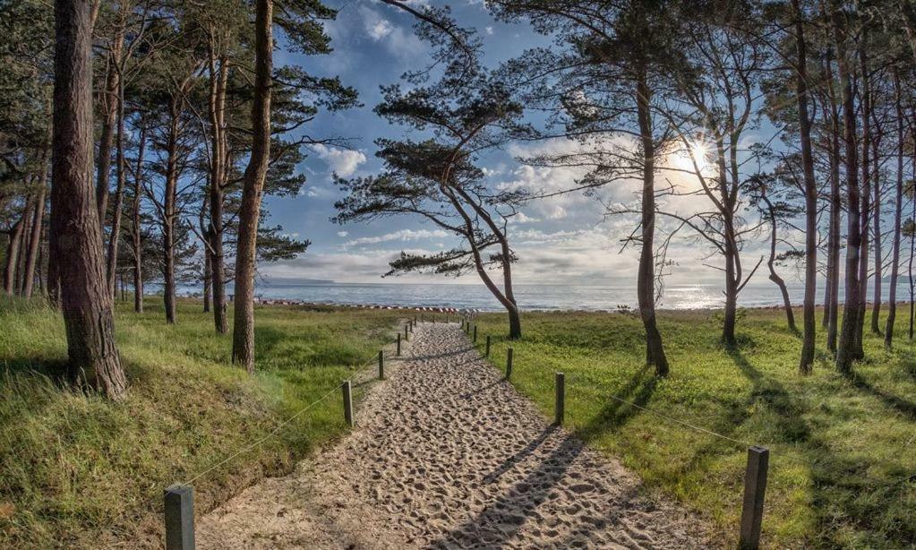Direkt Am Strand Mit Meerblick Und Sauna - Fewo Strandidyll Binz Luaran gambar